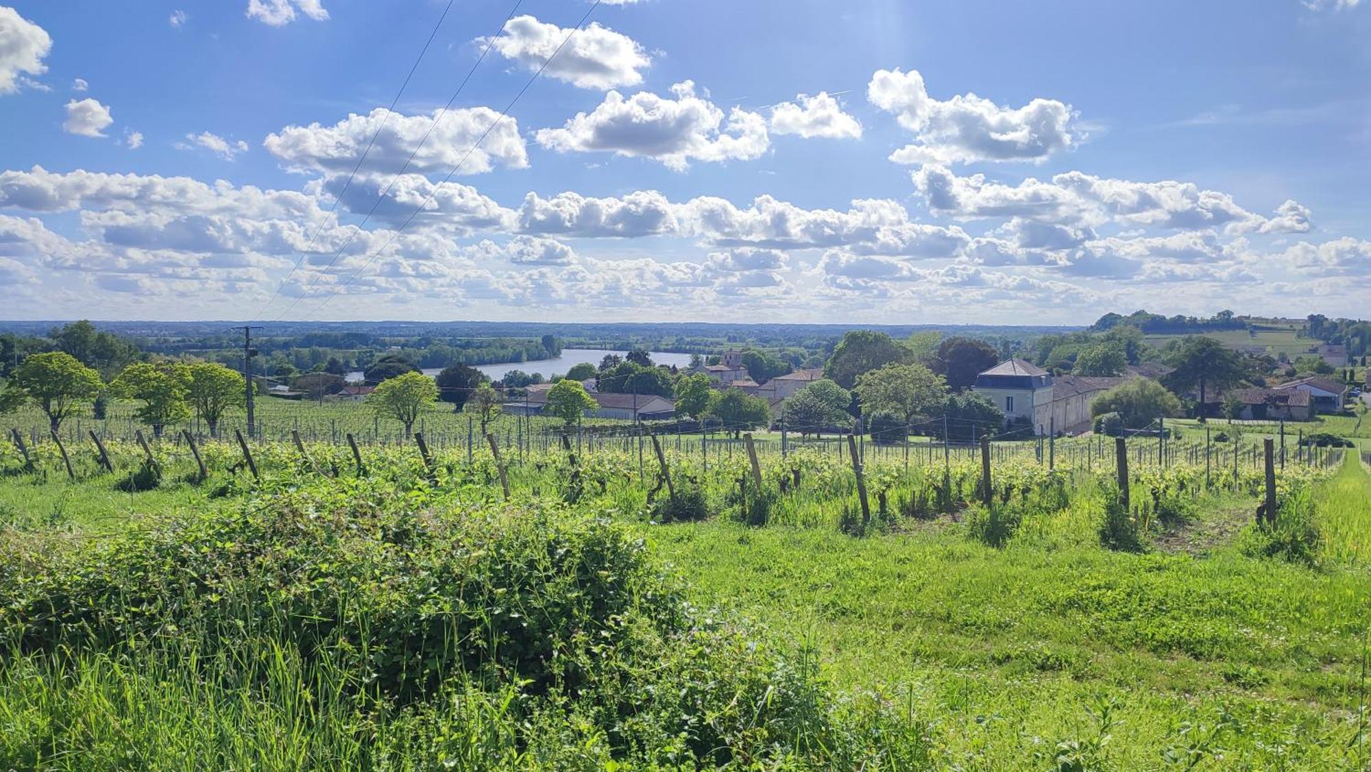 Maison Charmeilles - La Suite Pomerol Fronsac  Ngoại thất bức ảnh