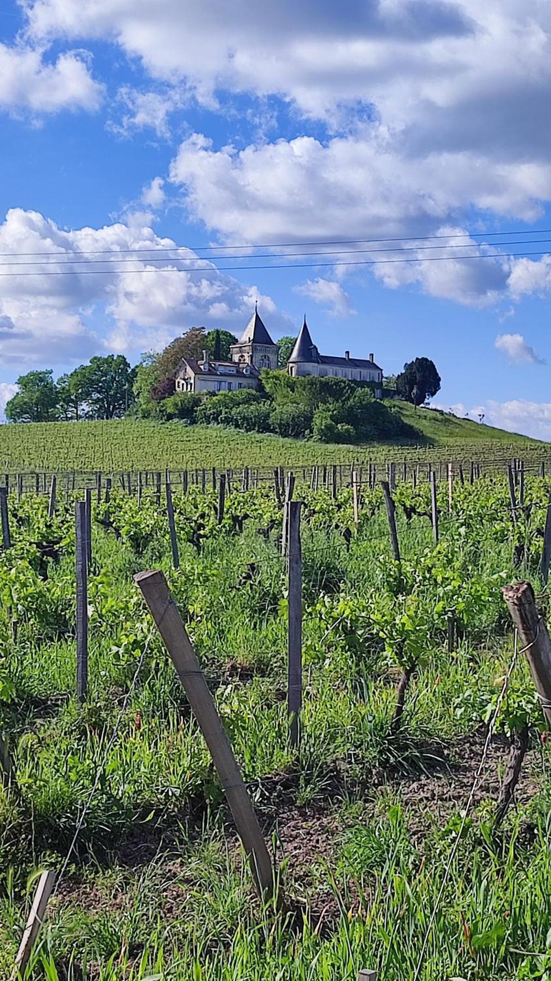 Maison Charmeilles - La Suite Pomerol Fronsac  Ngoại thất bức ảnh