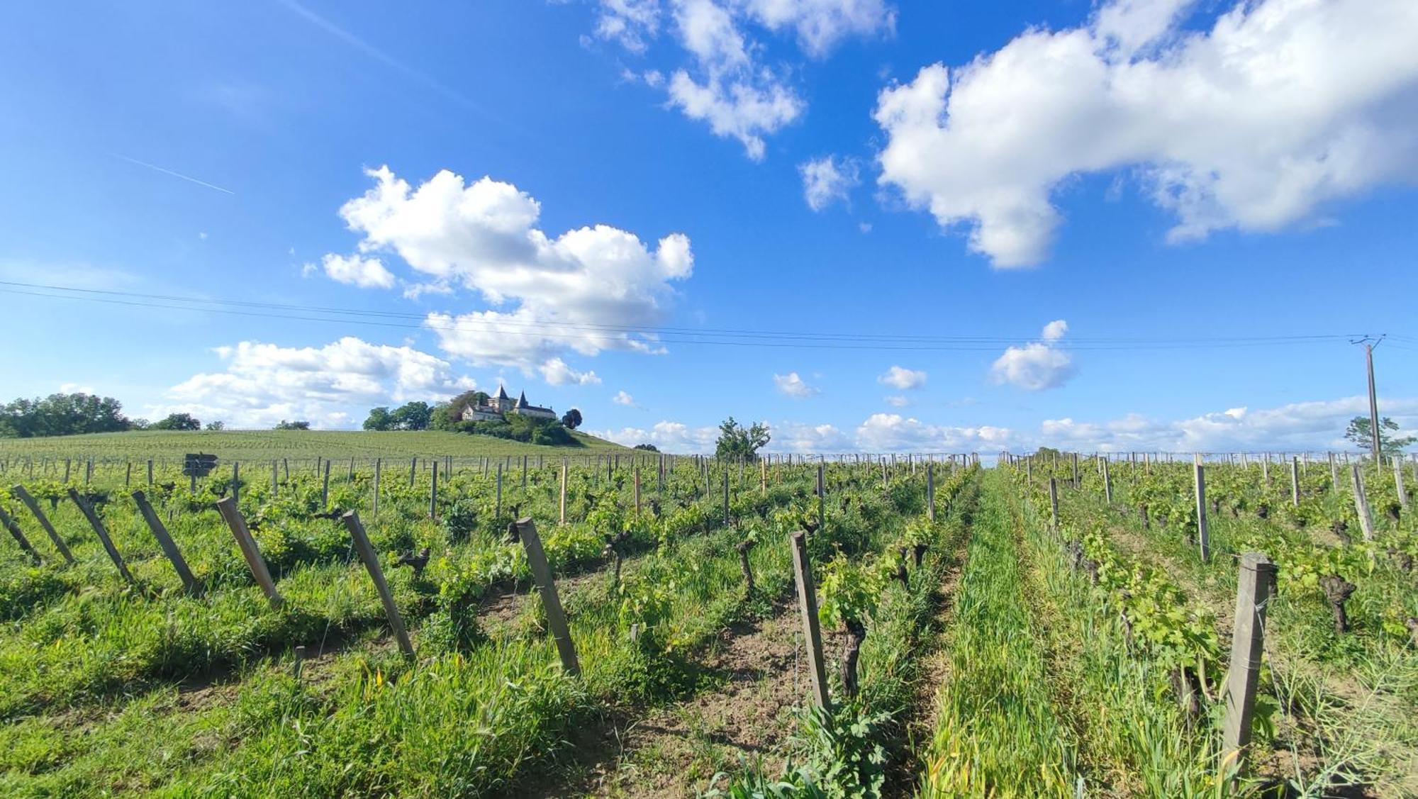Maison Charmeilles - La Suite Pomerol Fronsac  Ngoại thất bức ảnh